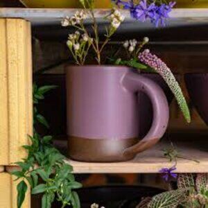 East Fork Big Mug in Prune